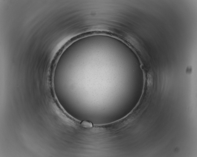 X0000113281068200909211034