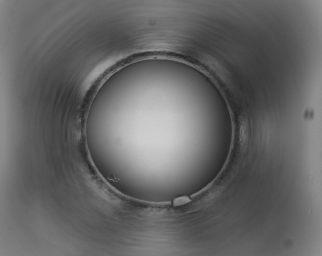 X0000113281069200909211034