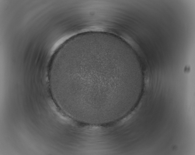 X0000113281070200909211034