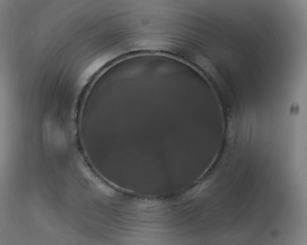 X0000113281071200909211034