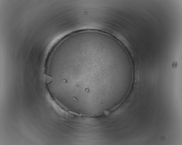 X0000113281072200909211034