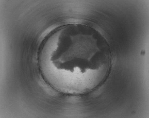 X0000113281074200909211034