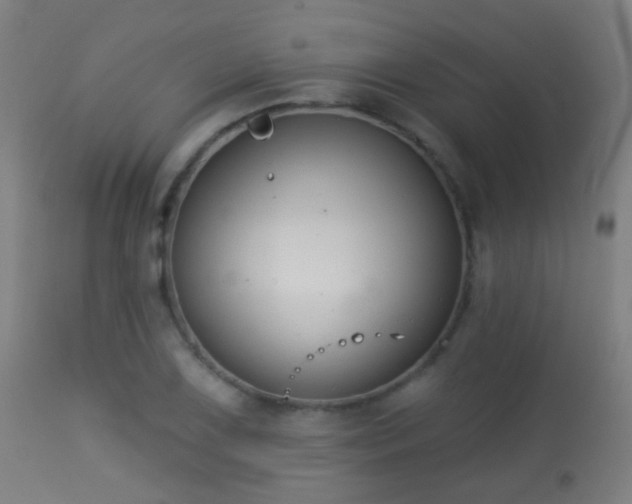 X0000113281075200909211034