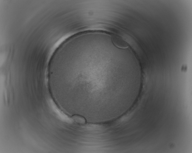 X0000113281076200909211034