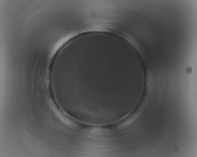 X0000113281077200909211034