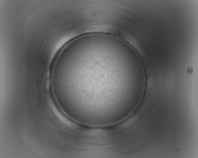 X0000113281079200909211034