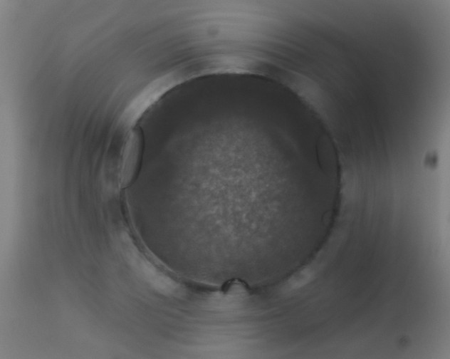 X0000113281081200909211034