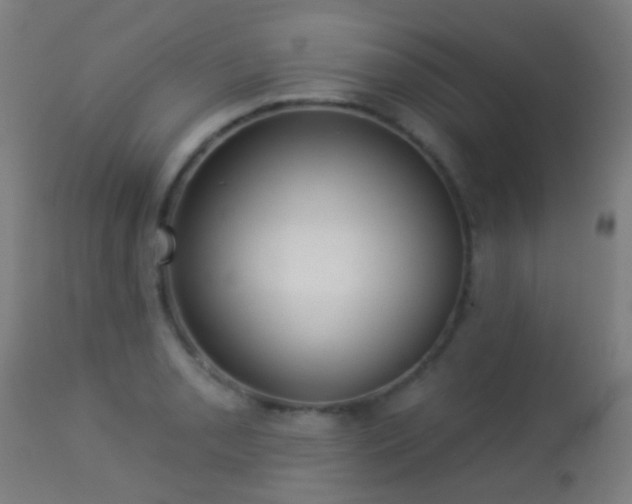 X0000113281085200909211034