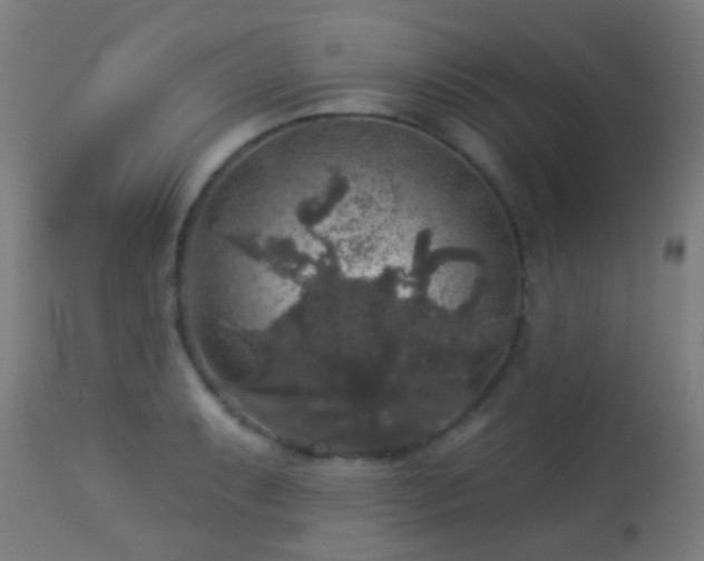 X0000113281087200909211034