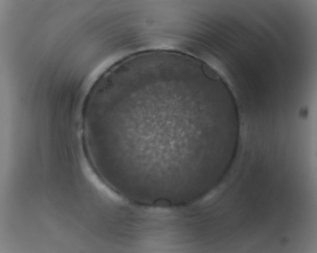 X0000113281088200909211034