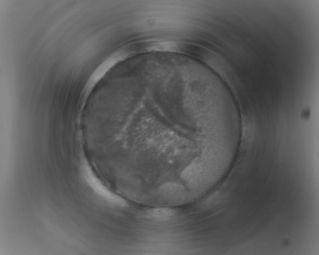 X0000113281090200909211034