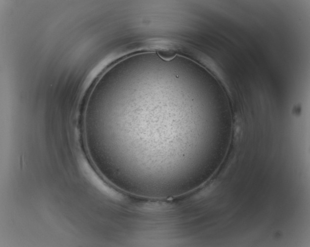 X0000113281091200909211034