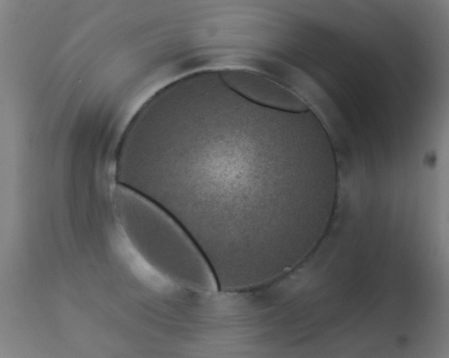 X0000113281092200909211033