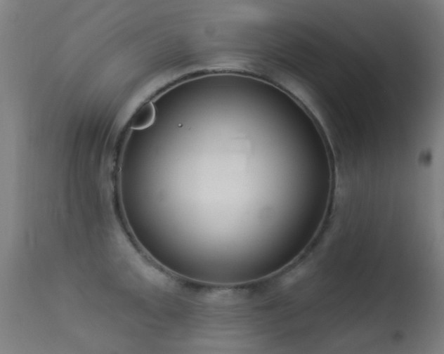 X0000113281093200909211033