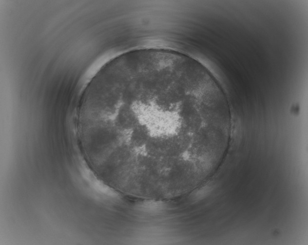 X0000113281094200909211033