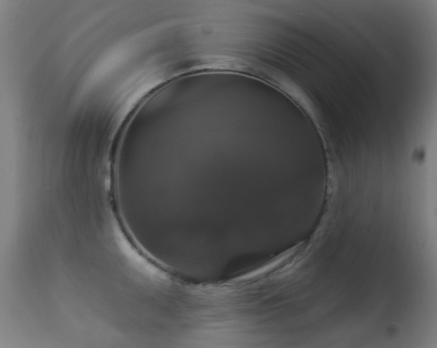 X0000113281095200909211033