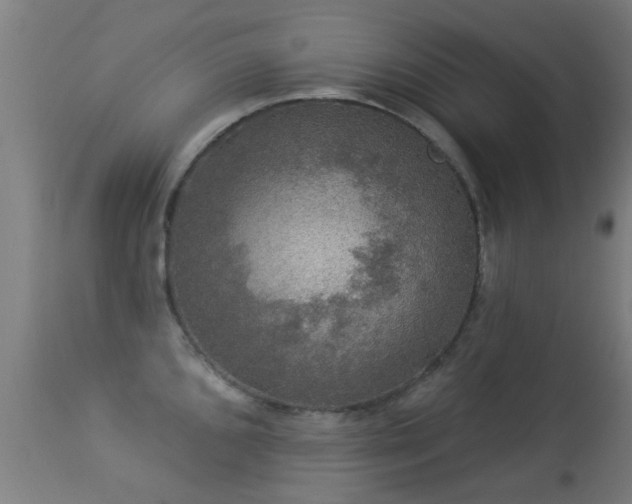 X0000113281096200909211033