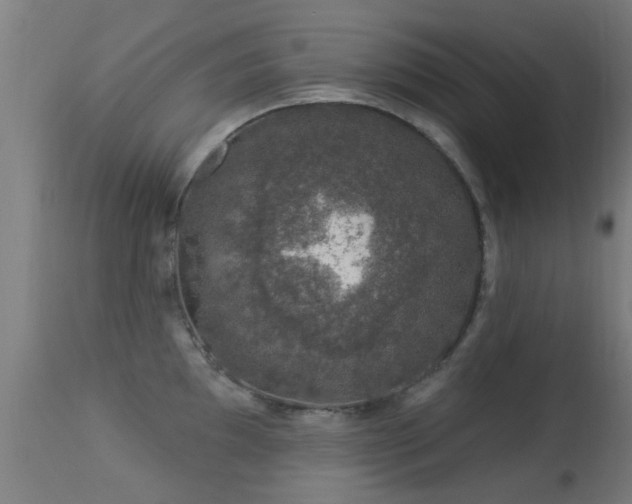 X0000113281097200909211033