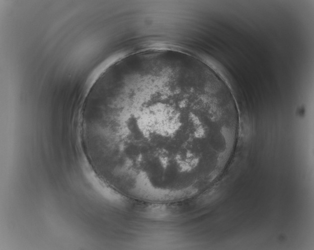 X0000113281098200909211033