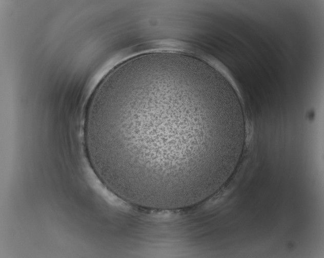 X0000113281099200909211033