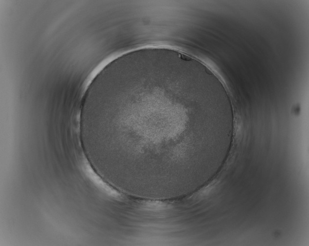 X0000113281100200909211033