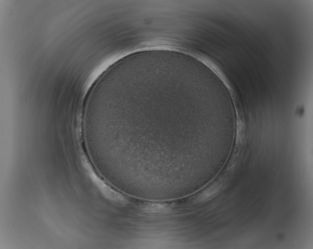 X0000113281101200909211033