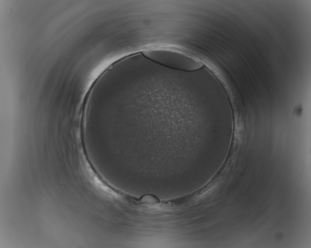 X0000113281102200909211033