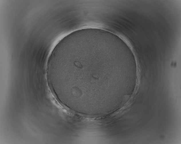 X0000113281104200909211033