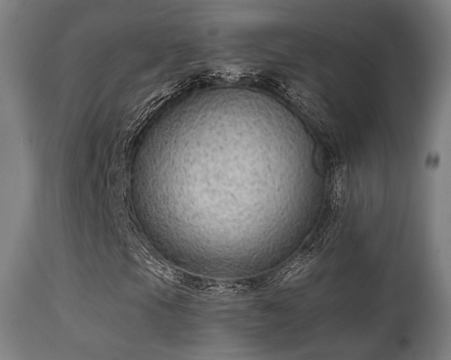 X0000113281105200909211033