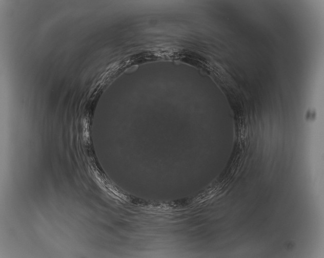 X0000113281106200909211033