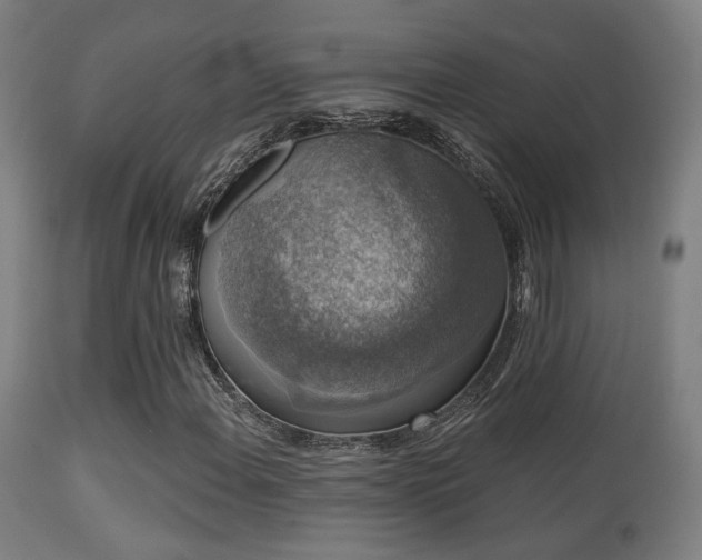 X0000113281108200909211033