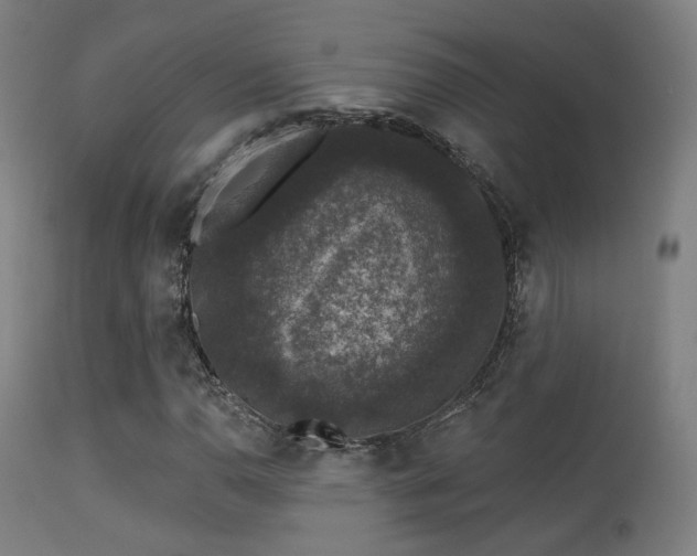 X0000113281110200909211033