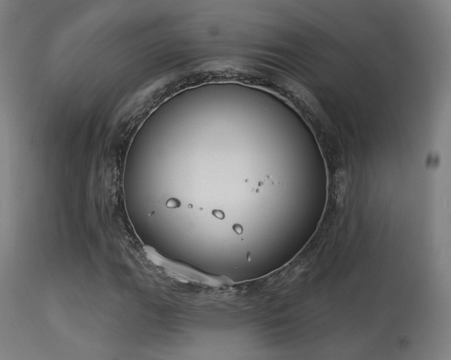 X0000113281111200909211033