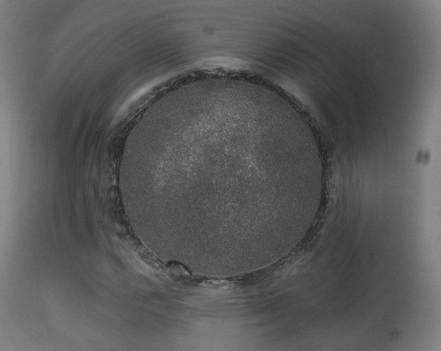 X0000113281112200909211033