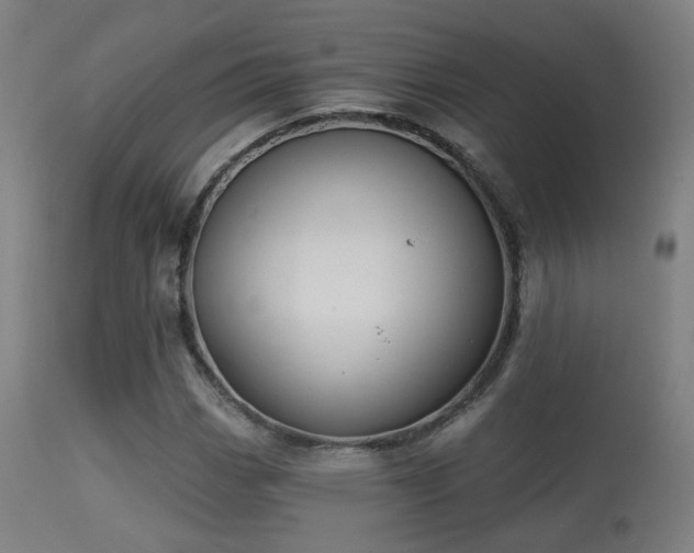 X0000113281113200909211033