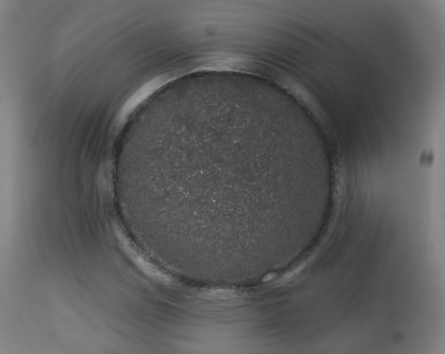 X0000113281114200909211033