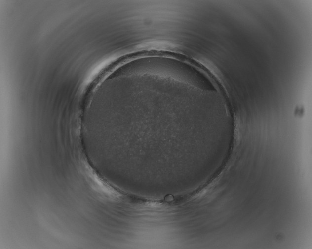 X0000113281115200909211033