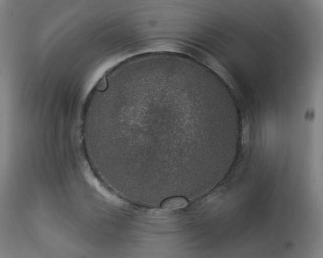 X0000113281116200909211033