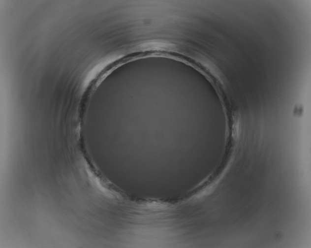 X0000113281117200909211033