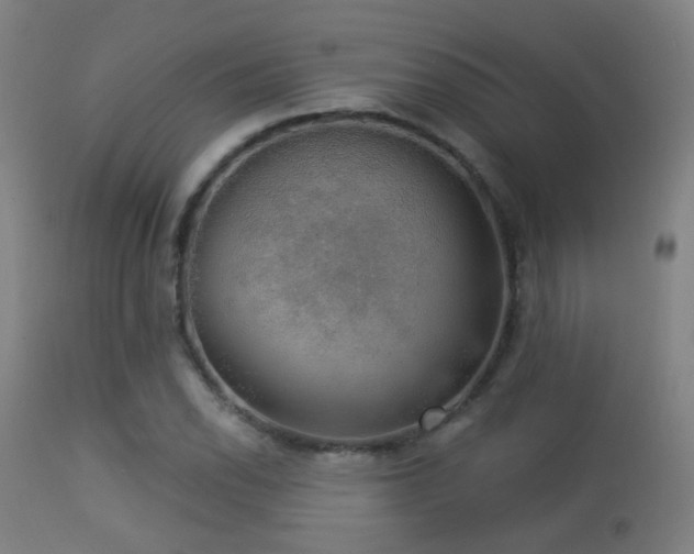 X0000113281118200909211033