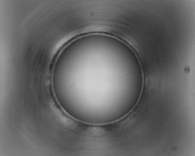 X0000113281119200909211033