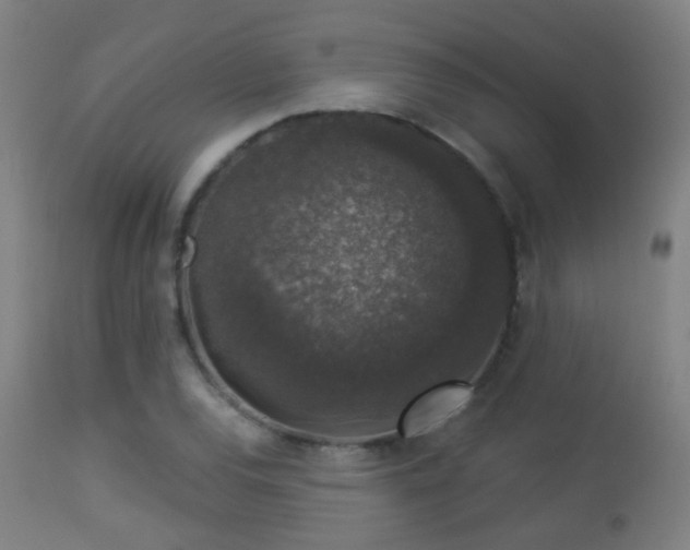 X0000113281120200909211033