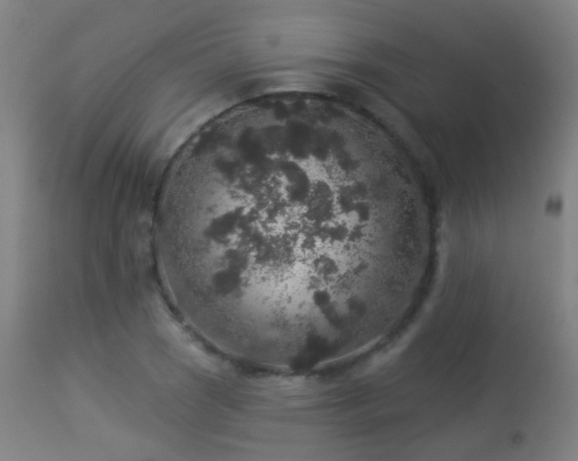 X0000113281121200909211033