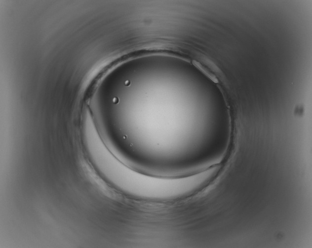 X0000113281122200909211033