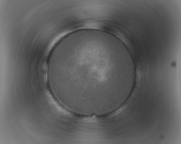 X0000113281123200909211033