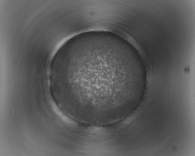 X0000113281124200909211033