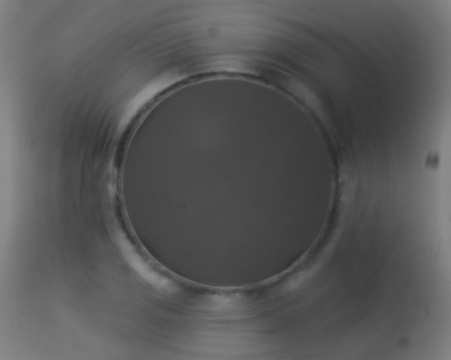 X0000113281125200909211033