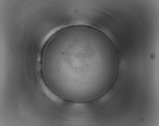 X0000113281126200909211033