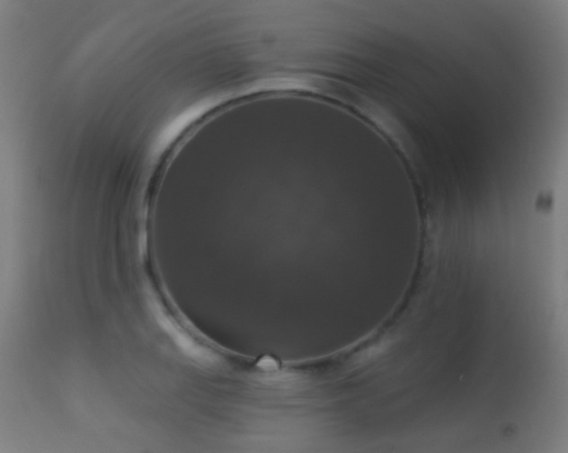 X0000113281127200909211033