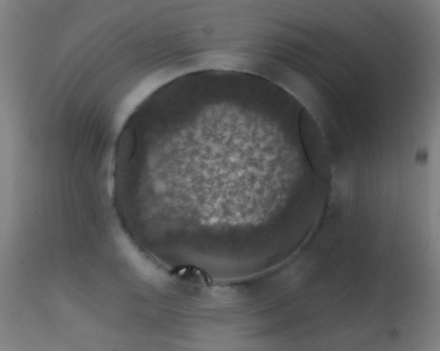 X0000113281128200909211033